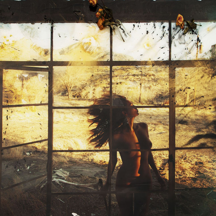 Raphael Mazzucco, Bullets