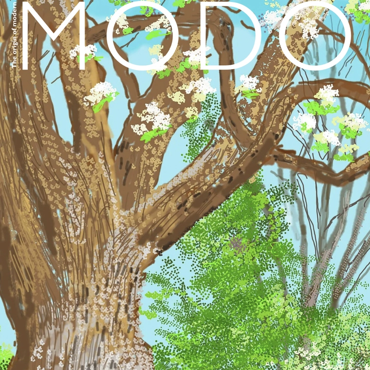 David Hockney's Normandy Landscapes