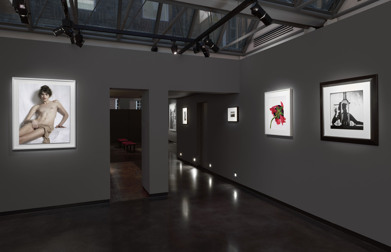 <p>© Hamiltons Gallery, the art works depicted in the photographs remain the rights of the artists and are used courtesy of the artists and gallery. </p><p>Photography: Prudence Cuming</p><div> </div>