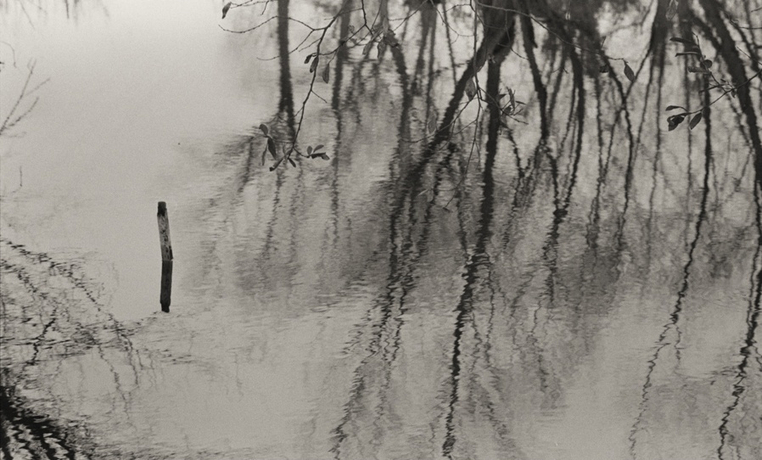 <span class="title">Waterscape #24<span class="title_comma">, </span></span><span class="year">2002</span>