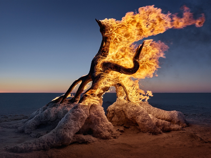 <span class="title">Muybridge<span class="title_comma">, </span></span><span class="year">2015</span>