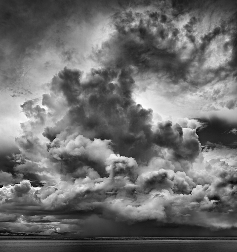 <span class="title">Hector #14<span class="title_comma">, </span></span><span class="year">2011</span>