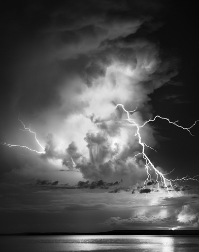 <span class="title">Hector #23<span class="title_comma">, </span></span><span class="year">2012</span>