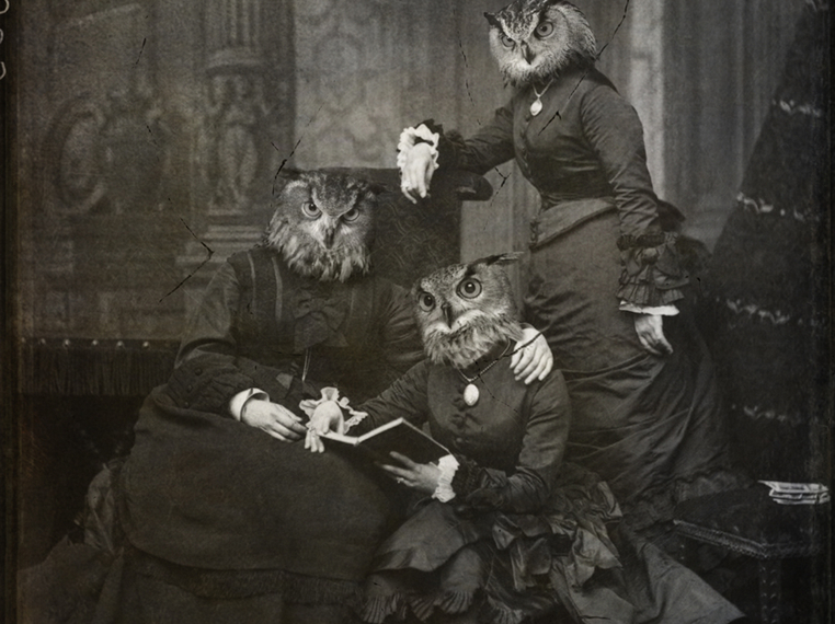 JBird Cremeans-Jbirdistheword