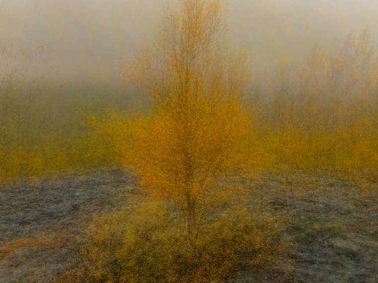 David Mangels-Four Crows Photography