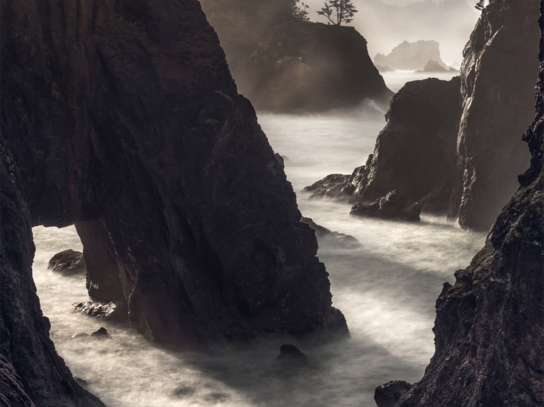 Jay Moore-Sororal Twin Studios