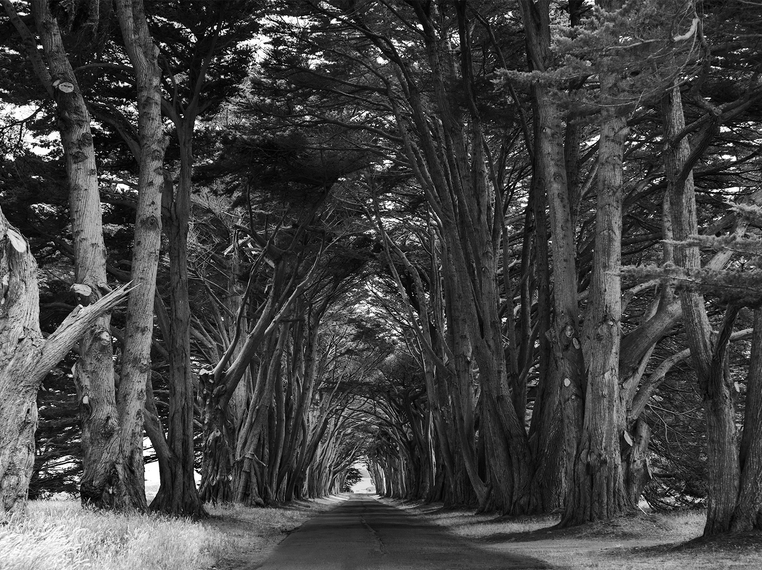 Susan Darrow-Susan Darrow Photography