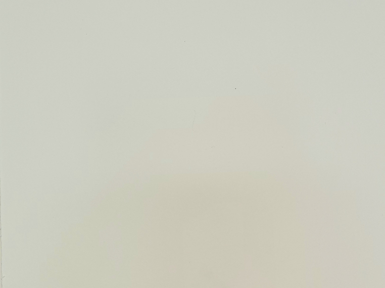 F. Lennox Campello-Alida Anderson Art Projects