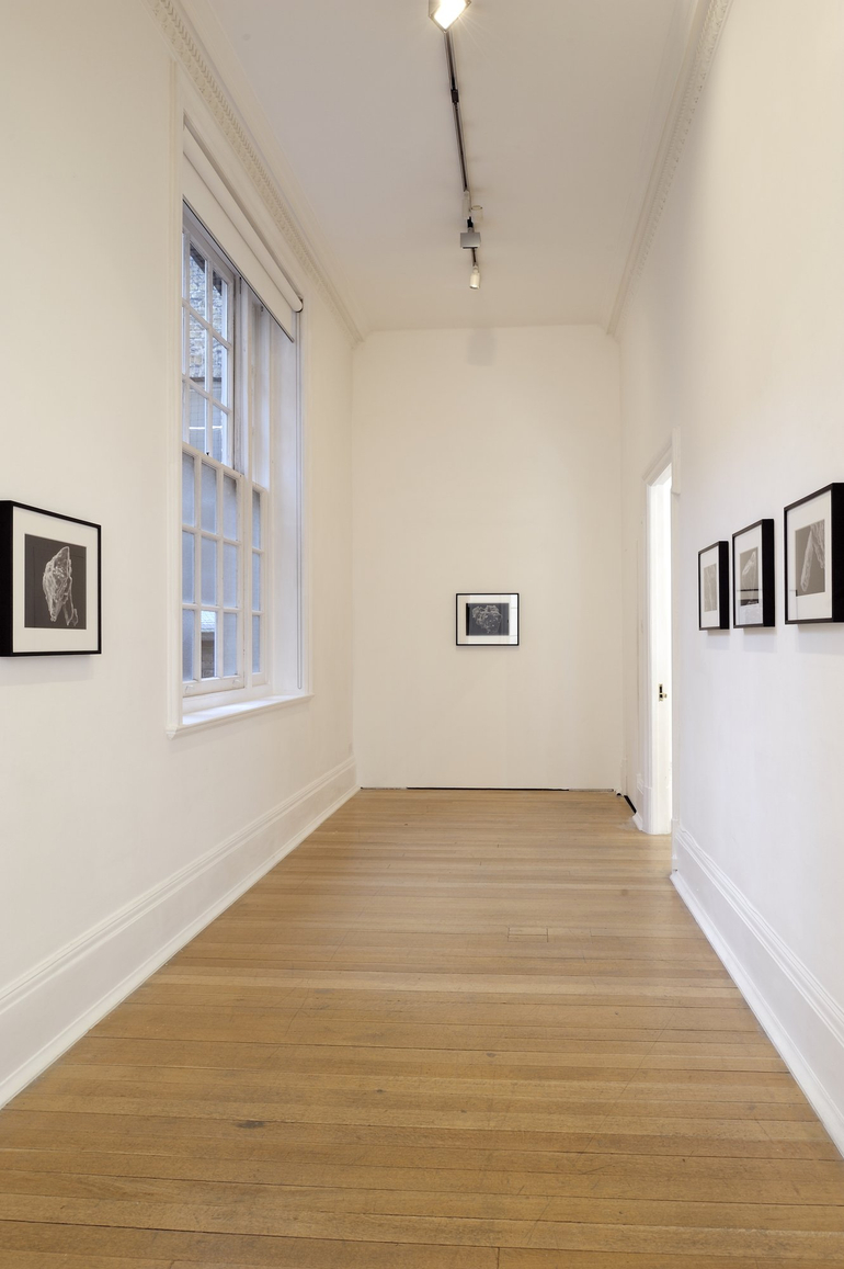 <p>Installation view, Thomas Dane Gallery</p>