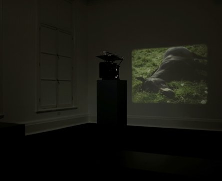 <p>Installation view, Thomas Dane Gallery</p>
