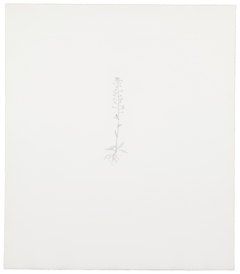 Nourishment (portfolio)