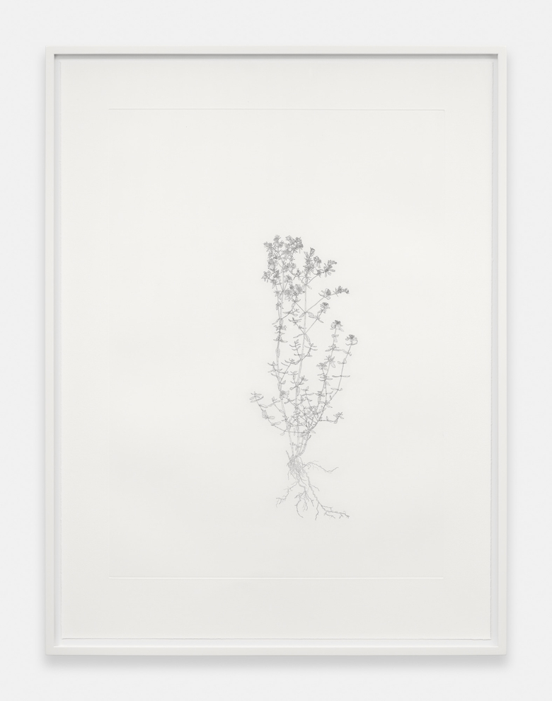 Nourishment (series)