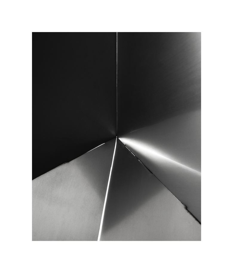 Untitled (Bicho Invertebrado, #12)