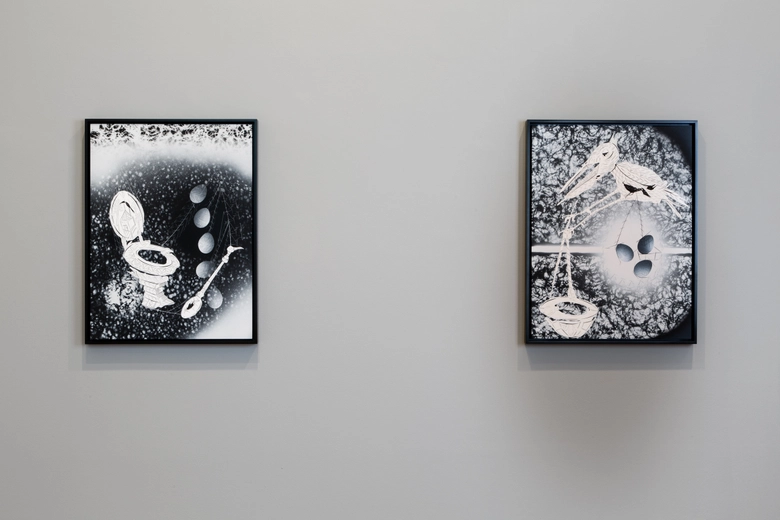 Lari Pittman: Nocturnes