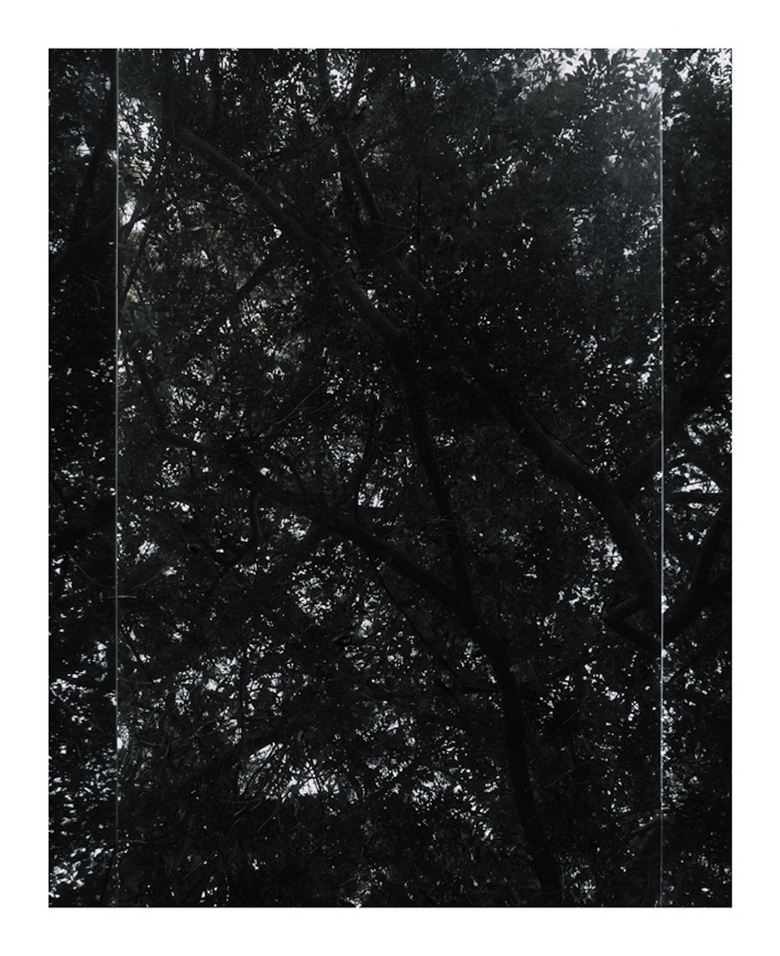 Untitled (Sheats-Goldstein House, #10)