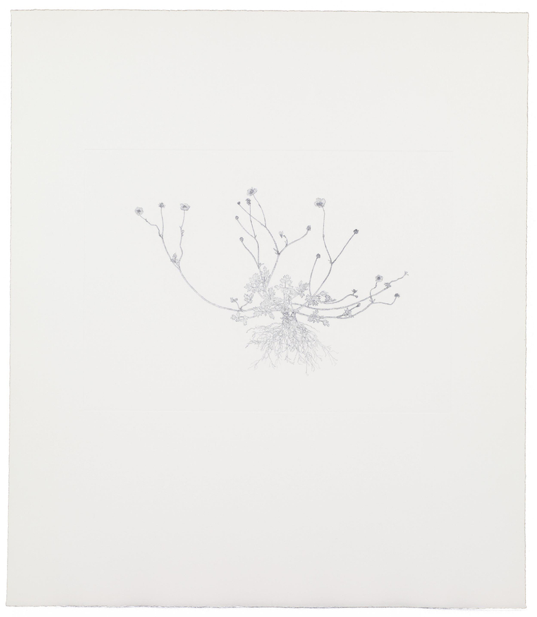 Nourishment (portfolio)