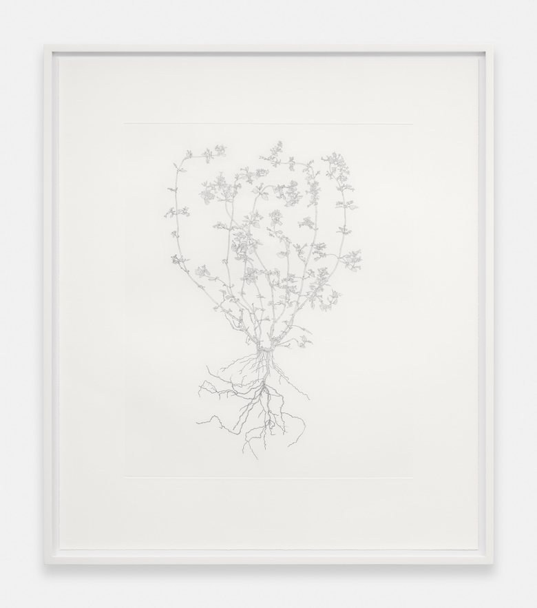 Nourishment (series)