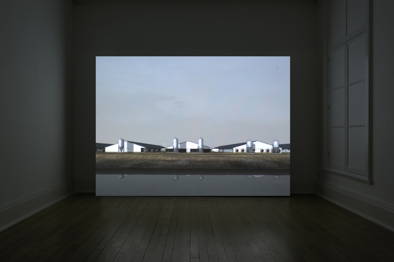 Sow Farm (near Libbey, Oklahoma)