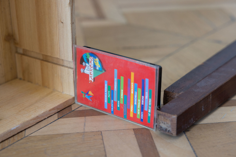 Autoritratto Pedonale con Sampietrino