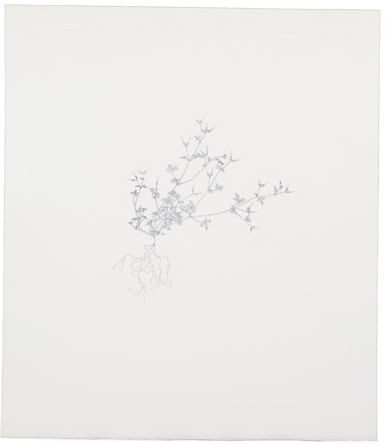 Nourishment (portfolio)