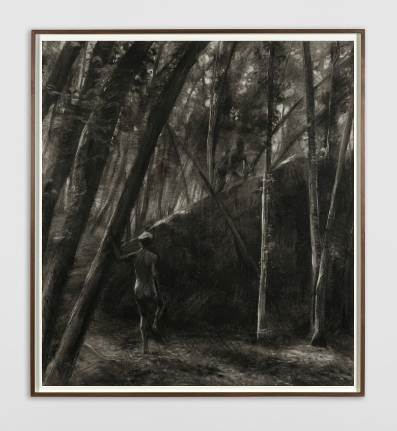 The Sentimentality Of Nature