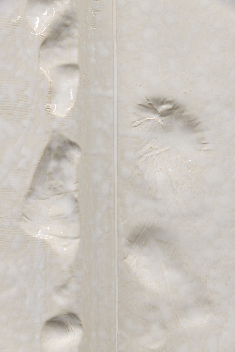 Chase Farm Hospital Commission