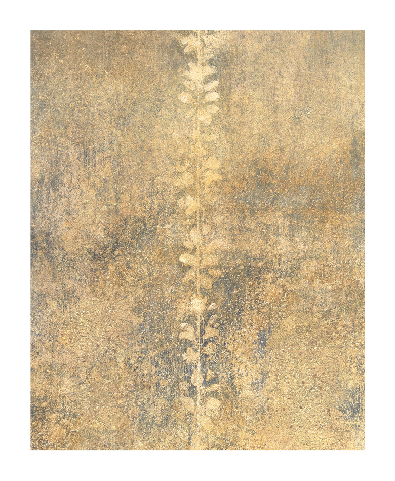 Untitled (Casa del Menandro, #01)