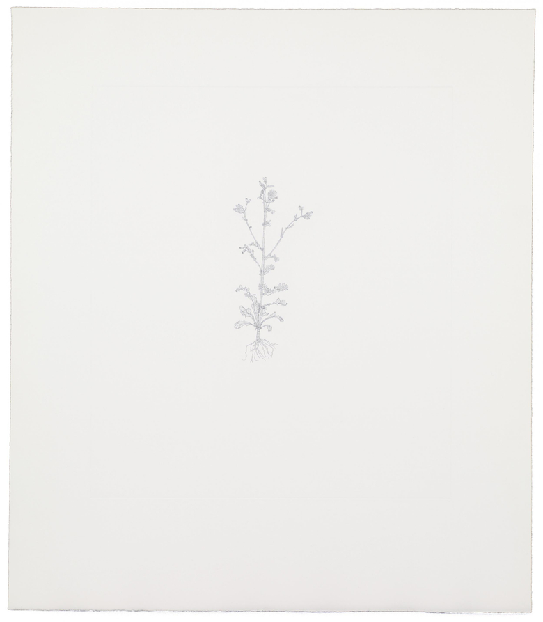 Nourishment (portfolio)