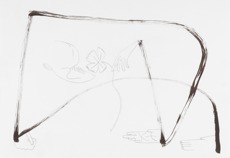 Primate Change Denial