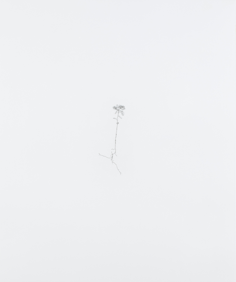 Nourishment (series)