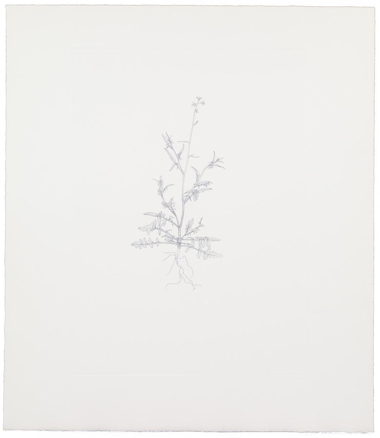 Nourishment (portfolio)