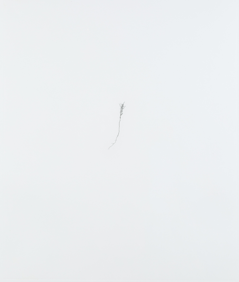 Nourishment (series)