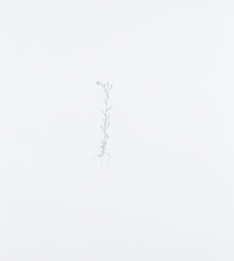 Nourishment (series)