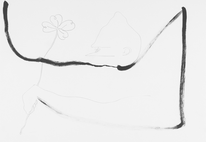 Primate Change Denial