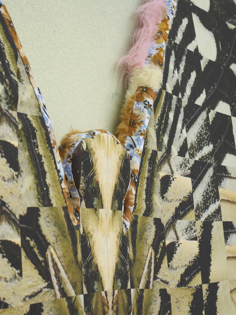 Transposed Lime Butterfly