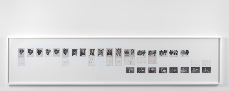 Untitled vitrine (flowers)