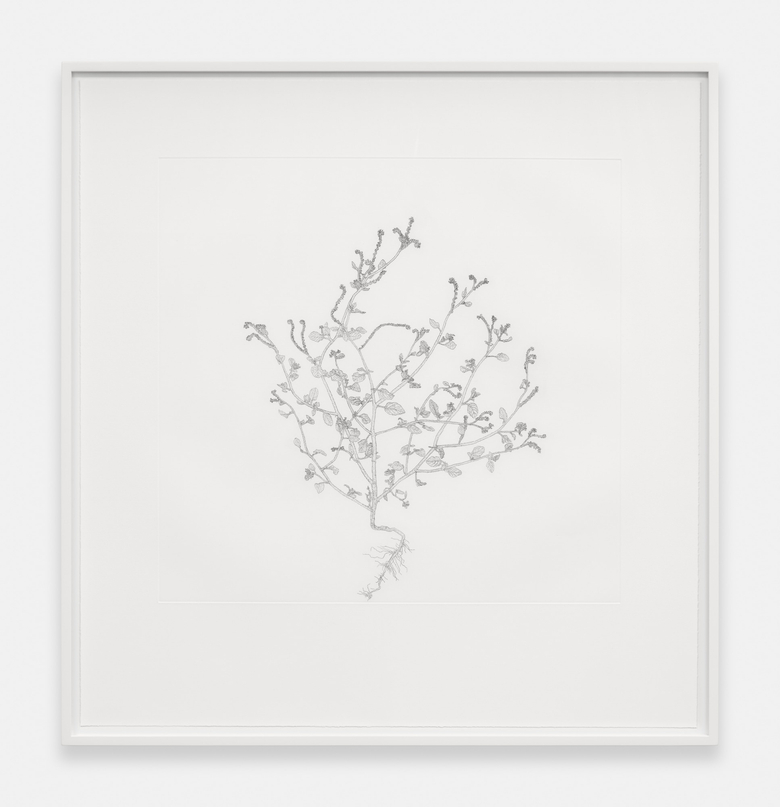 Nourishment (series)