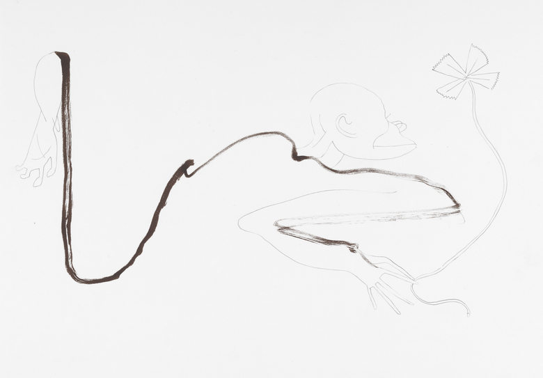 Primate Change Denial