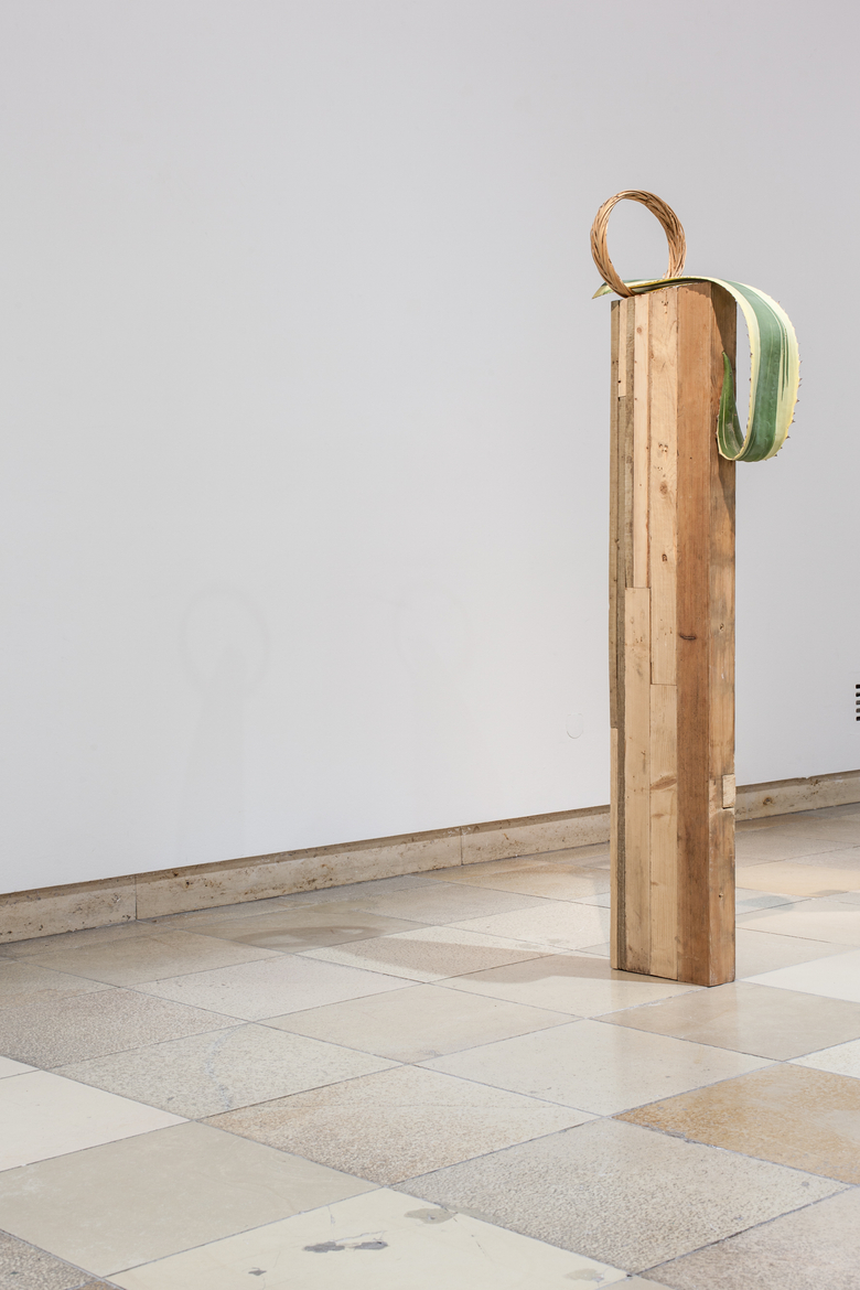 The Autoconstrucción Suites