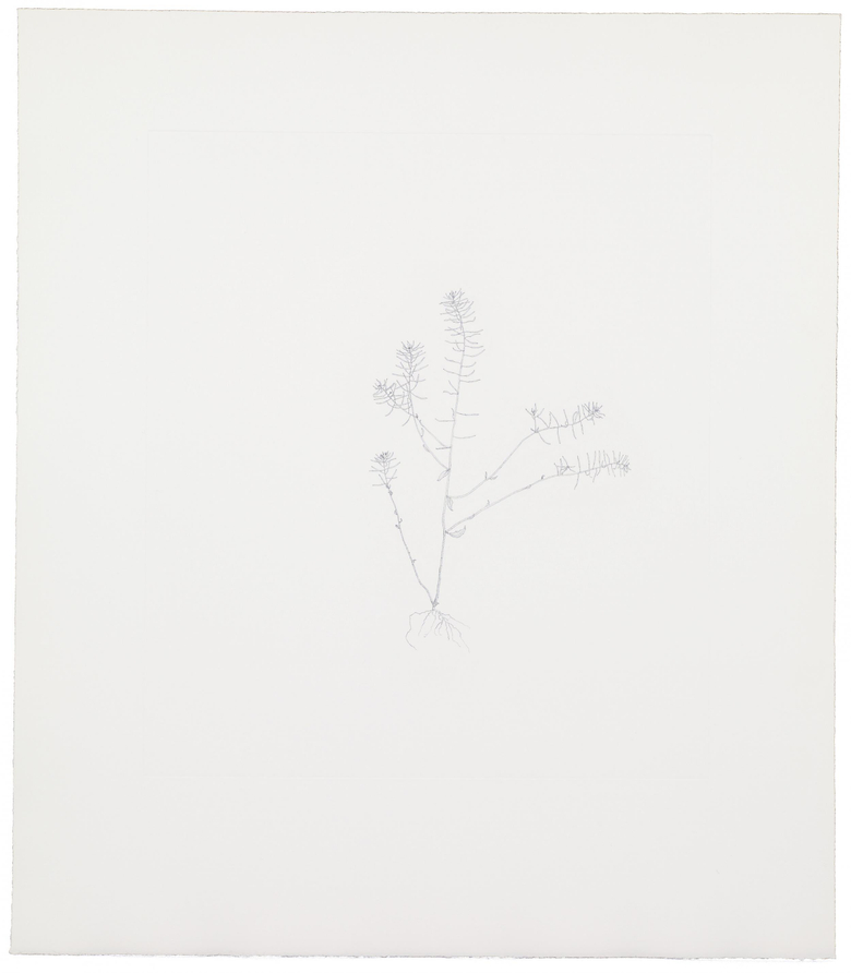 Nourishment (portfolio)