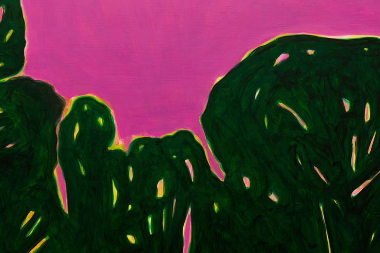 Tenebróre I (São Paulo), Tenebróre II (Mata Atlântica)