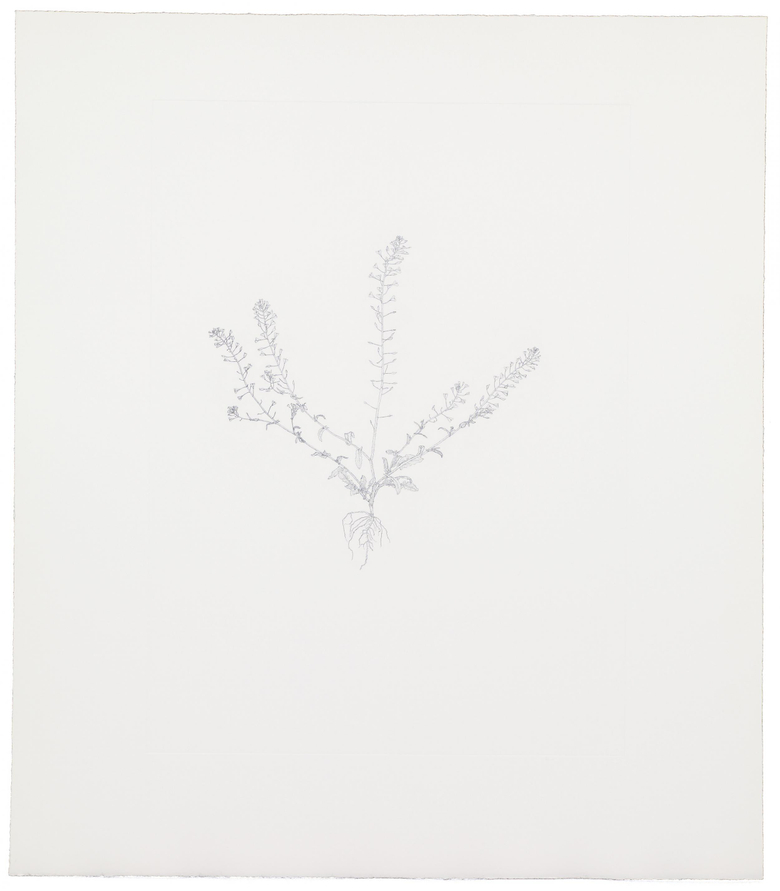 Nourishment (portfolio)