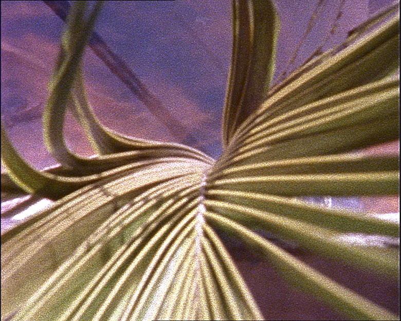 Caribs' Leap/ Western Deep