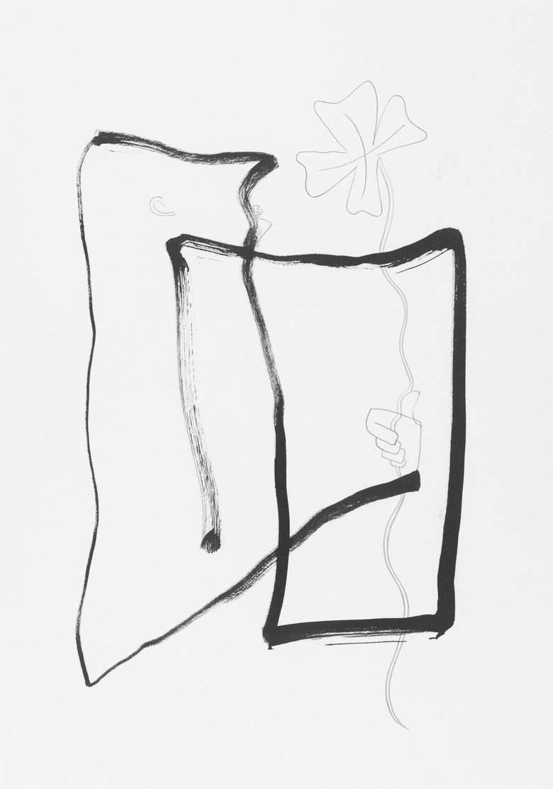 Primate Change Denial