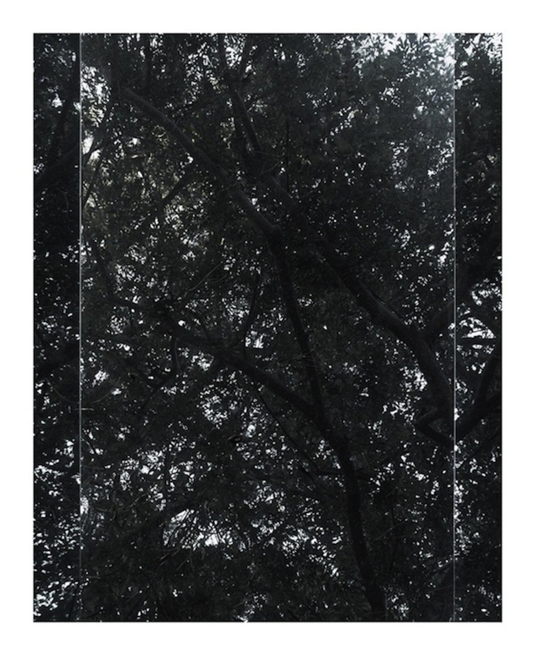 Untitled (Sheats-Goldstein House, #08)