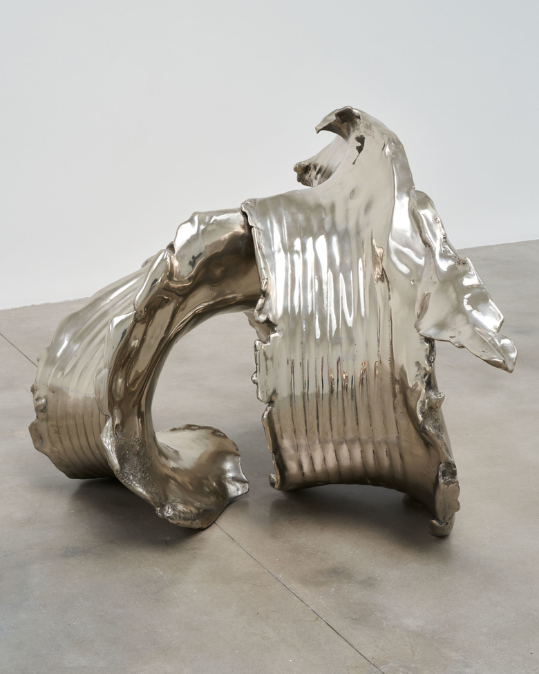 Elephant: First Foot Forward