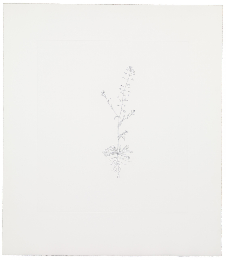 Nourishment (portfolio)