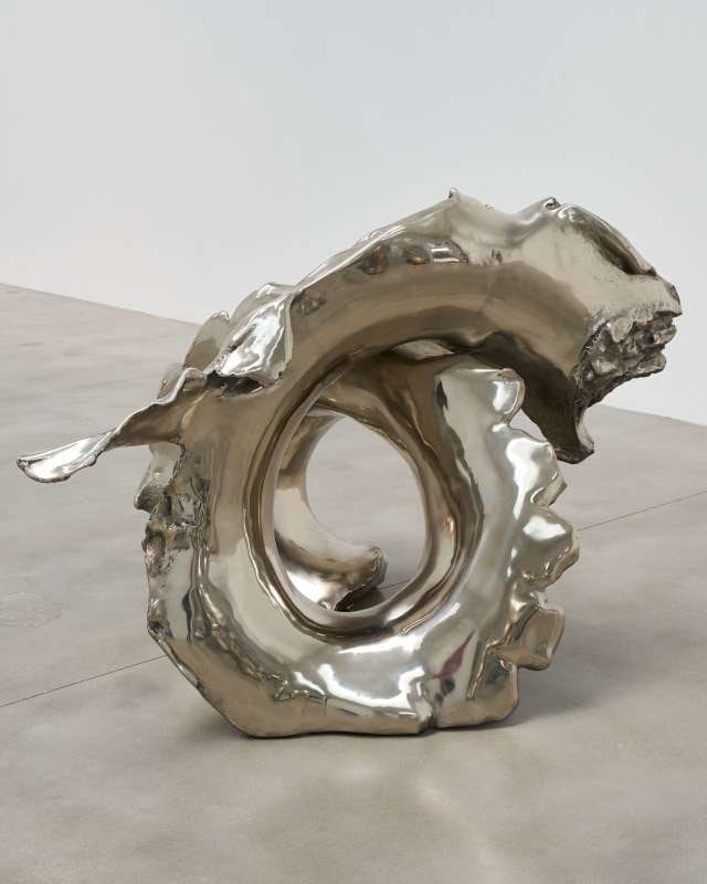 Elephant: First Foot Forward