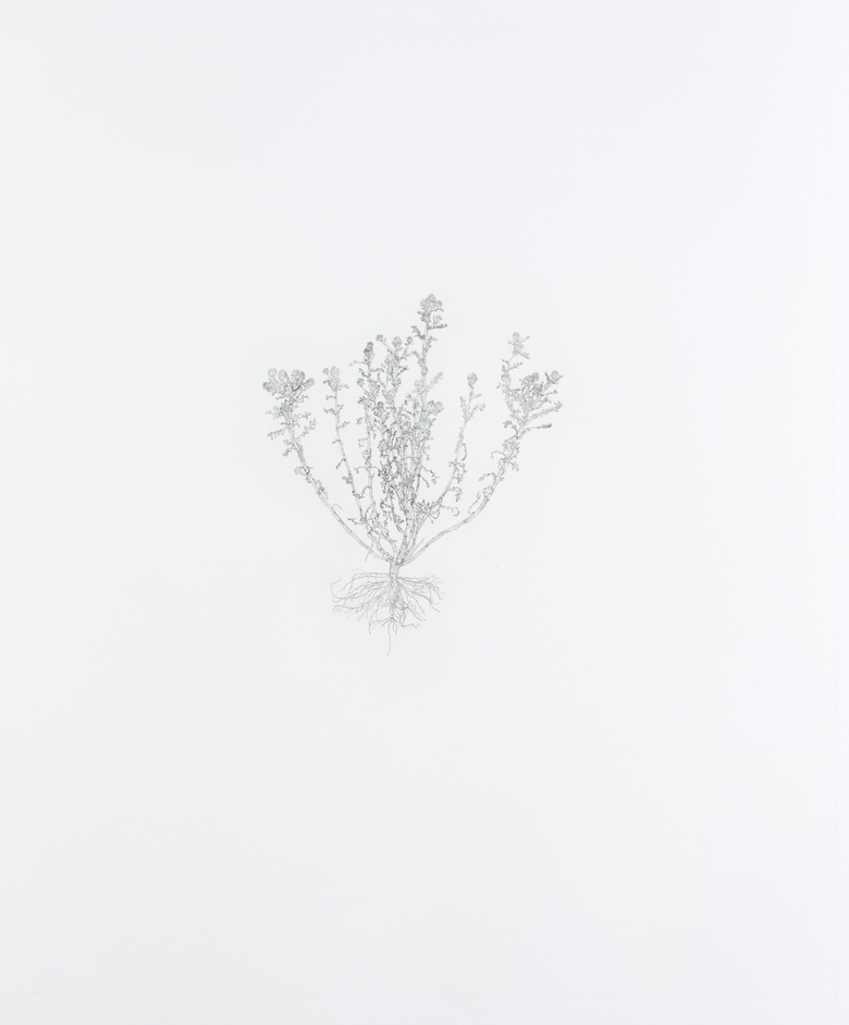 Nourishment (series)