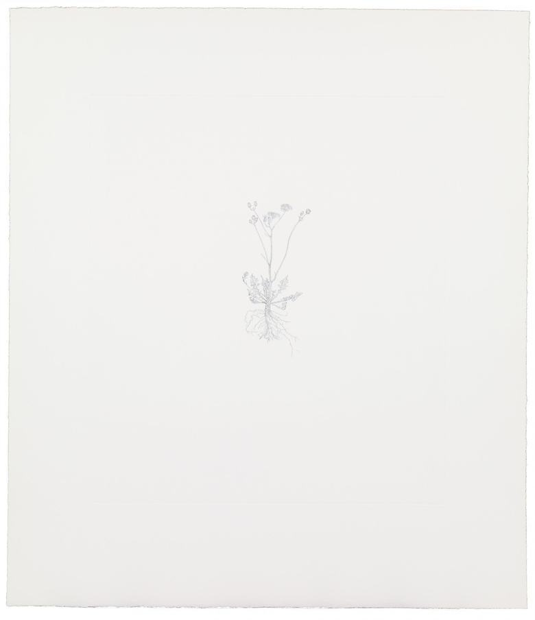 Nourishment (portfolio)